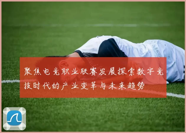 聚焦电竞职业联赛发展探索数字竞技时代的产业变革与未来趋势