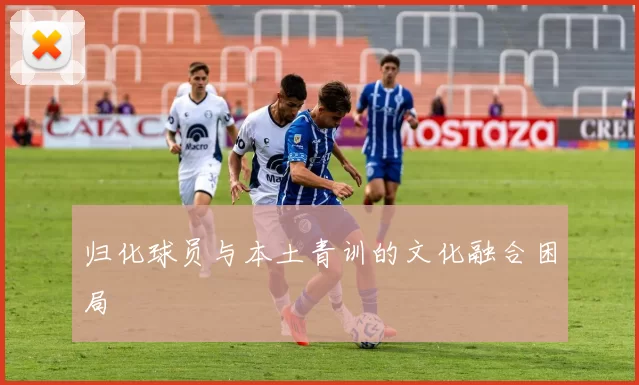 归化球员与本土青训的文化融合困局