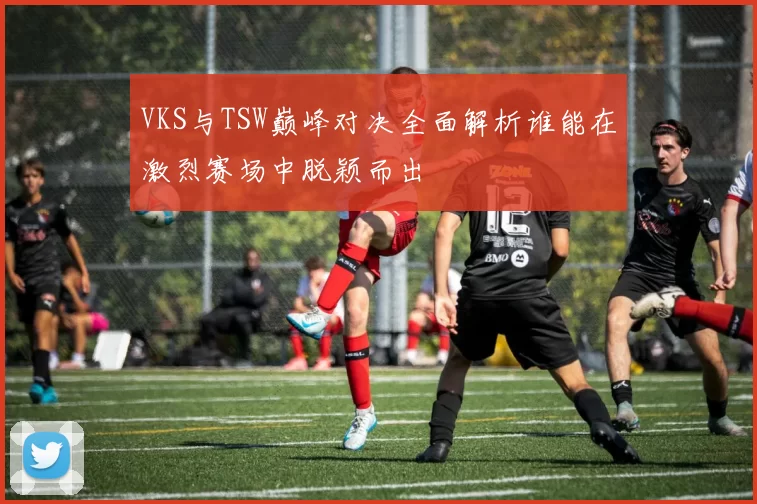 VKS与TSW巅峰对决全面解析谁能在激烈赛场中脱颖而出