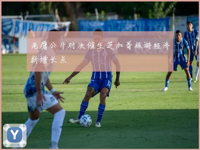 老鹰公牛对决催生芝加哥旅游经济新增长点
