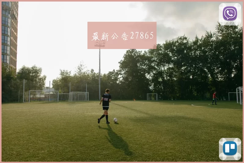 最新公告27865